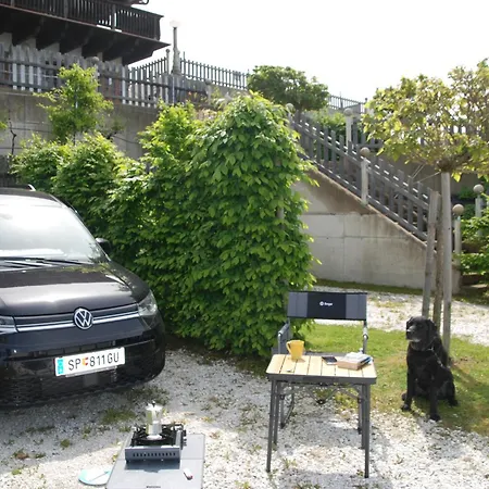 Weinberg-panorama- Campsite *