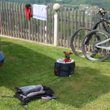 Weinberg-panorama- *