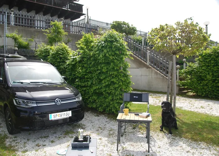 Weinberg-panorama- Campsite *