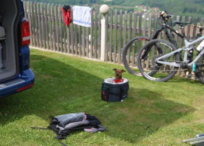 Weinberg-panorama- *