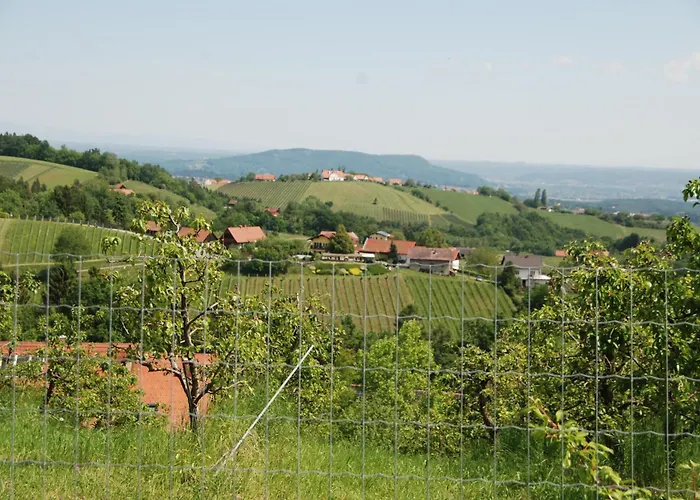 营地 Weinberg-panorama- *